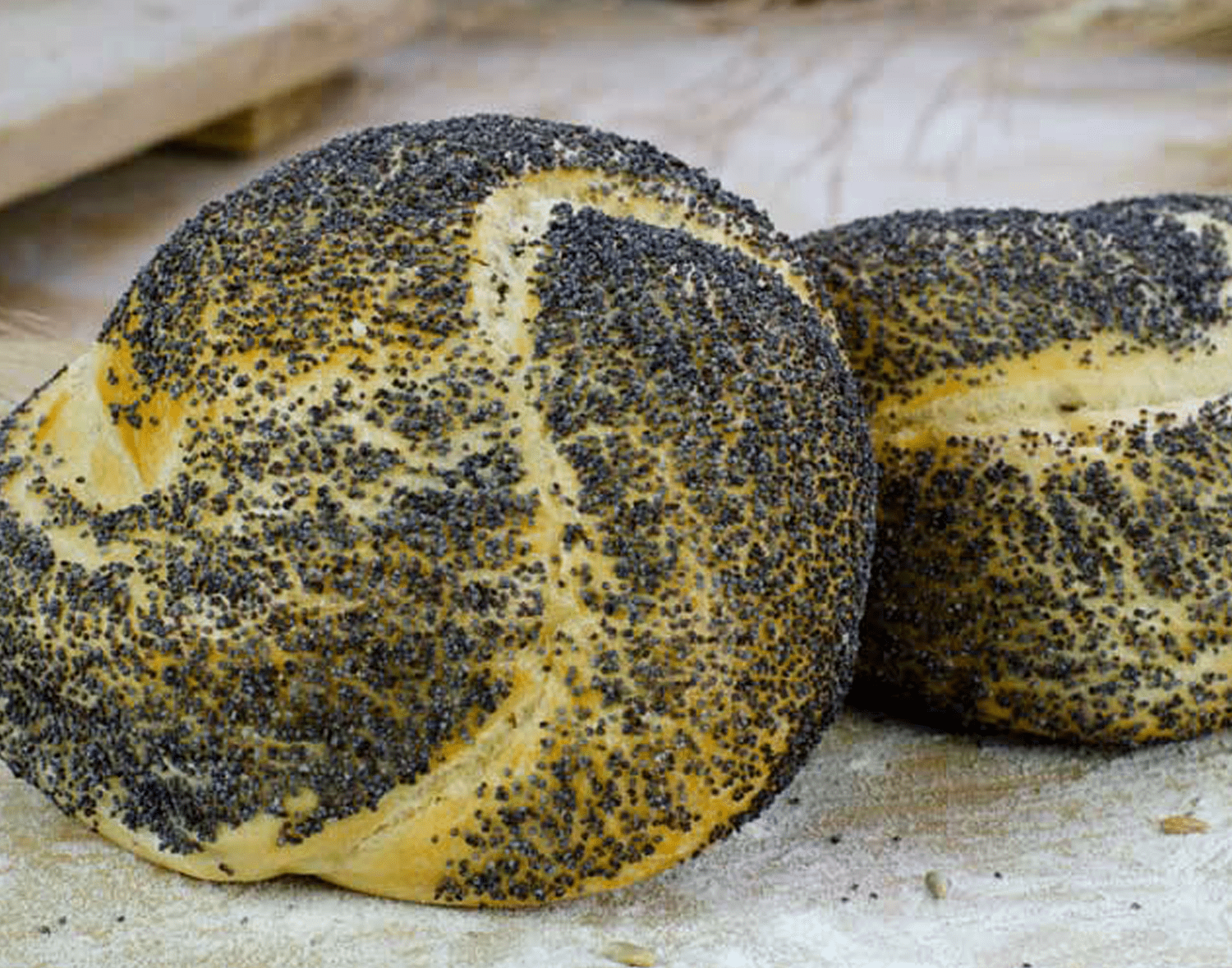Mohnknoten Brötchen